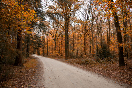 Herfst