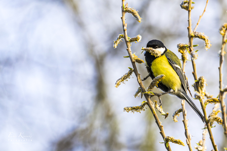 De bek vol hebben...