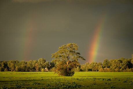 Dubbele regenboog