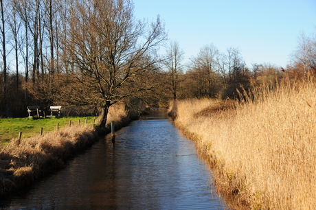 Camping de Dassenplas