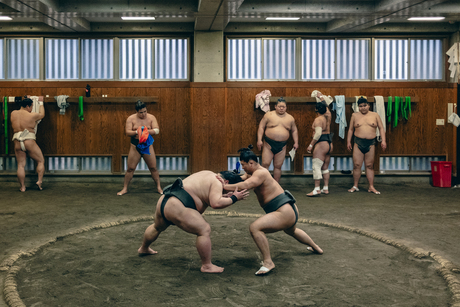 Sumo wedstrijd in Tokio