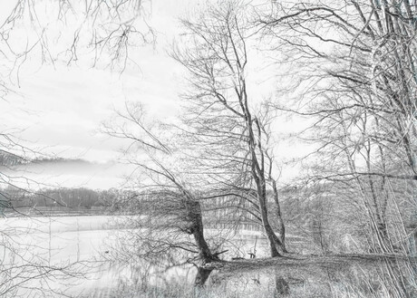 Spiegeling van de Stilte.