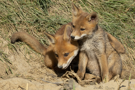 Samen de wereld ontdekken