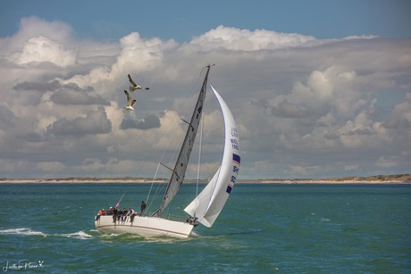 DAMEN Breskens Sailing Weekend