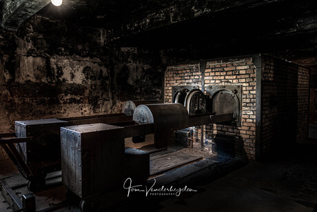Auschwitz - Birkenau