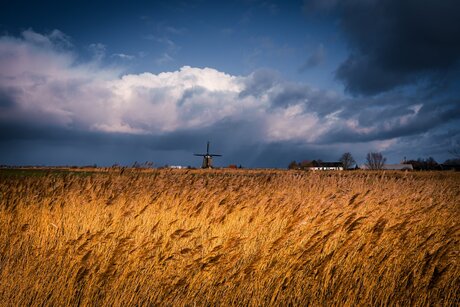 Licht in de polder
