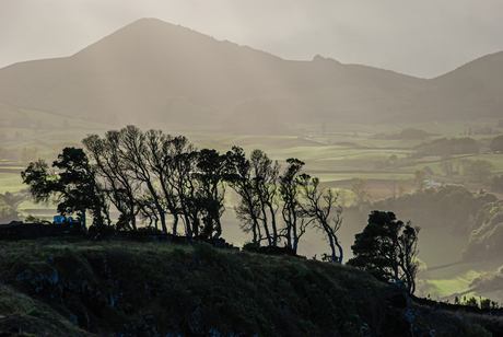 Landschap op de Azoren met nevel - foto Jan Korebrits