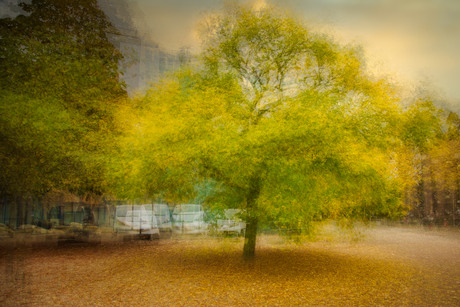 Herfst in de stadelijk landschap