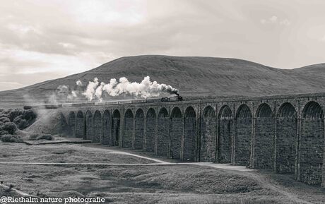 De stoomtrein op de Ribbleheadbridge