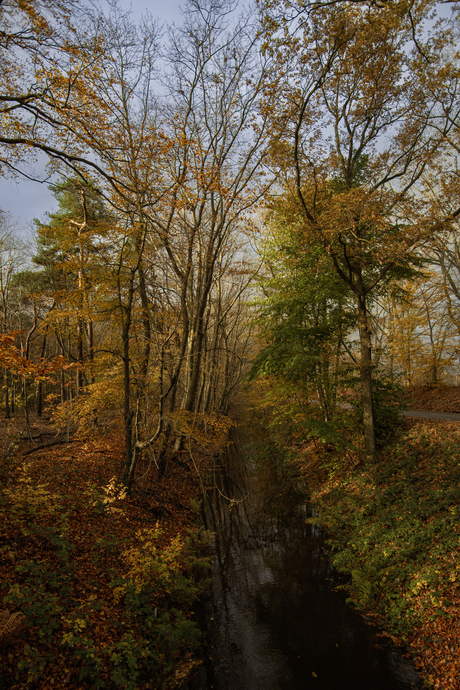 Herfstkleuren langs de zoom