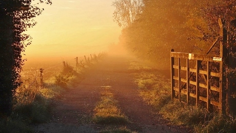 Pad naar natuurgebied bij mistige zonsopkomst