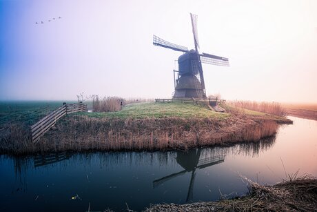 Braak en weel in de mist