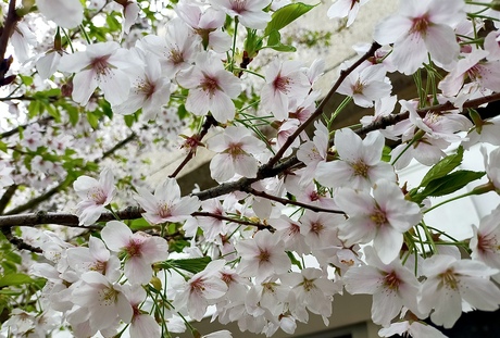 Vrolijk en gezellig Paasfeest