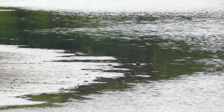 Laatste Water