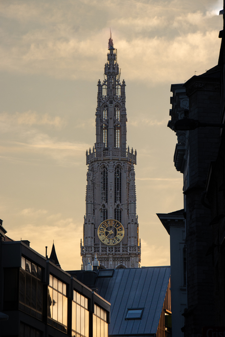Onze lieve vrouw kathedraal 