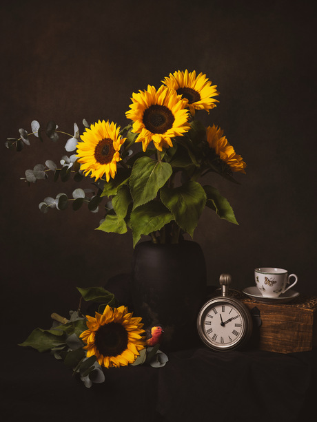 Stilleven zonnebloem