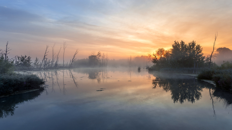 Zonsopkomst met mist in de Biesbosch 08-09-2025