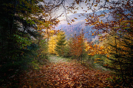 herfst in Lepuix