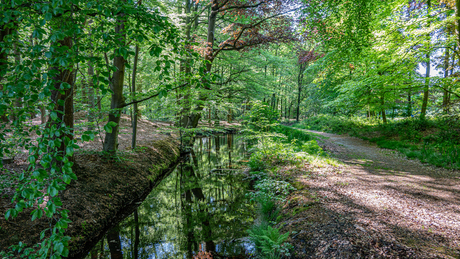 De Zilverbeek 