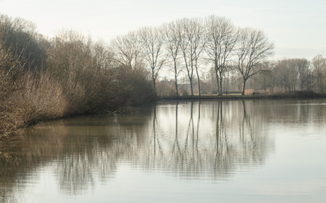 Rondje Wilhelminapark