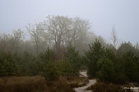 Het was een mistige zondag
