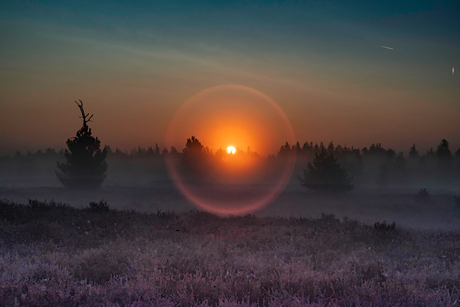 misty morning