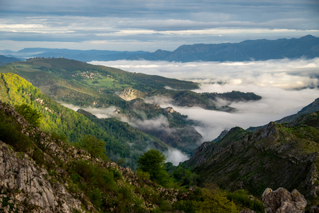 Above the clouds