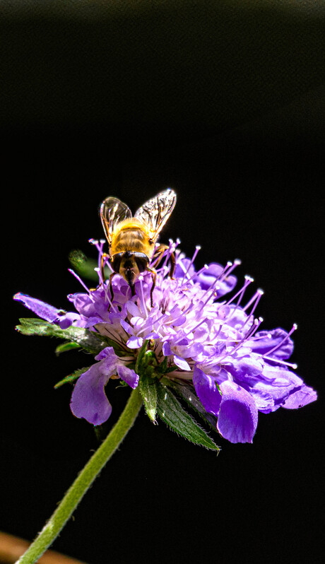 zzzzzzzzzzzzoommmmmmmmmmmmm