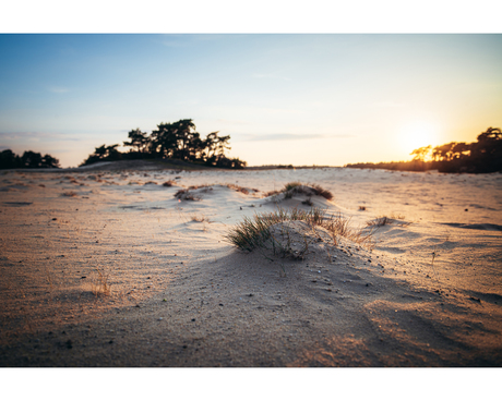 Wekeromse Zand