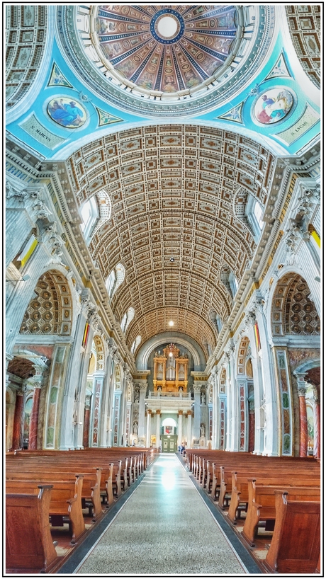 Basiliek 