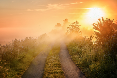 Als dat geen mooie dag wordt