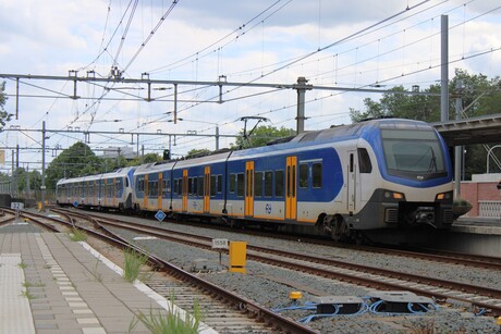 NS Sprinter flirt
