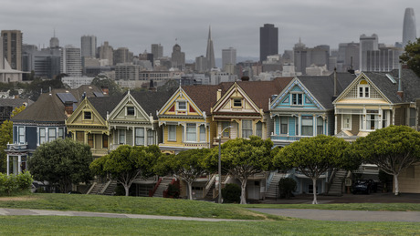 Painted ladies