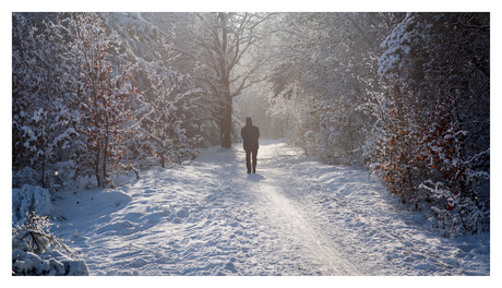 Winterwandeling