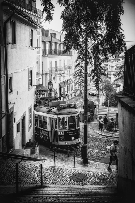 Lisbon Trams