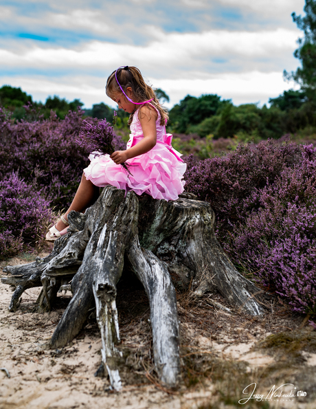 Amy Sprookjes Paarse Heide 