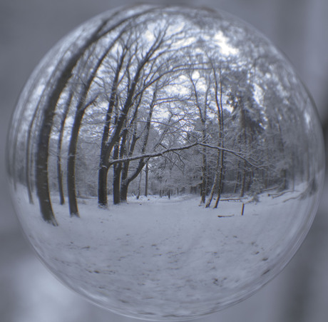 Winter door glazenbol