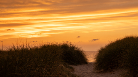 Avond schemering in de duinen 