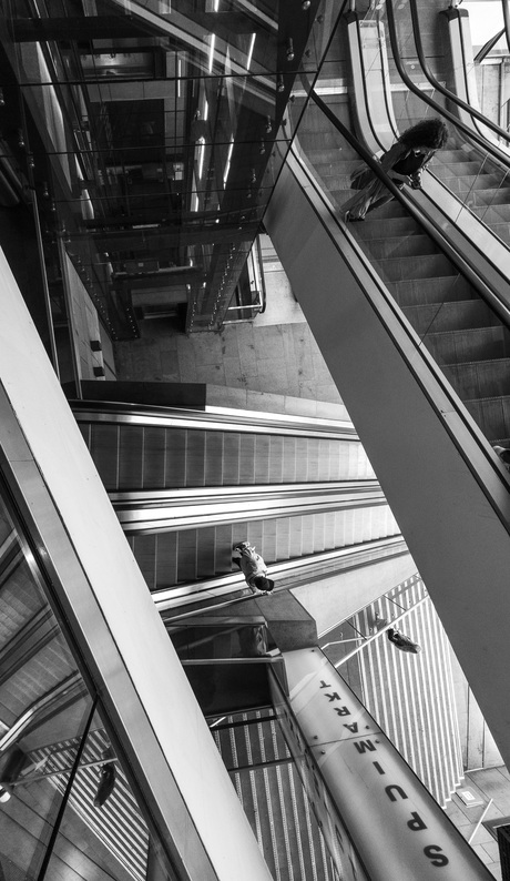 Up & Down