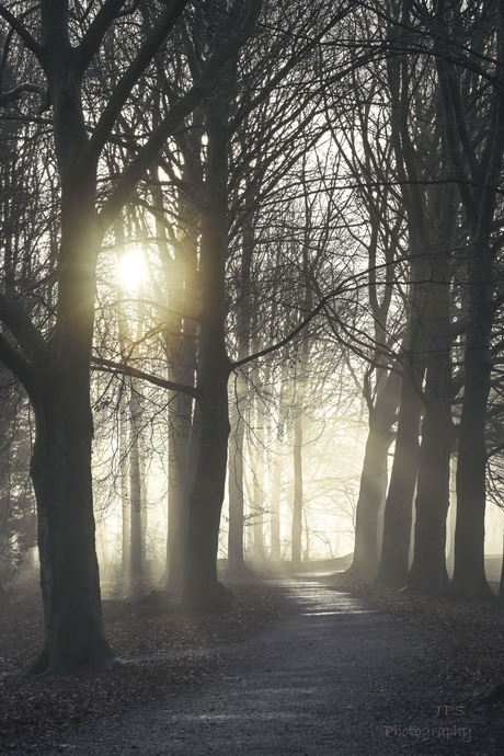 sfeervolle wandeling