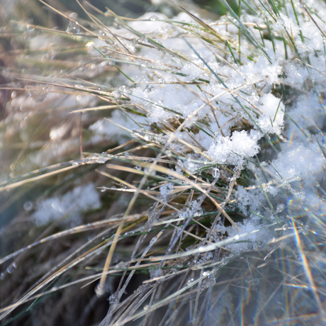 OMNI Magical Flare Bundle testen