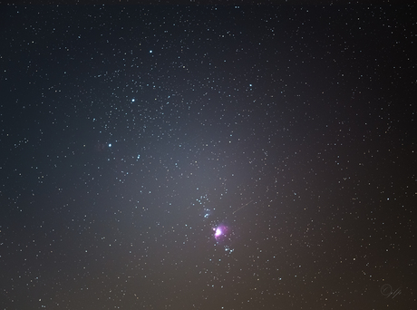 Orion