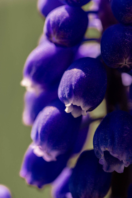 De lente komt eraan!
