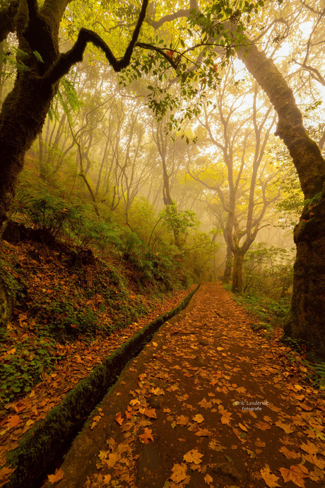 Levada dos Balcões Madeira