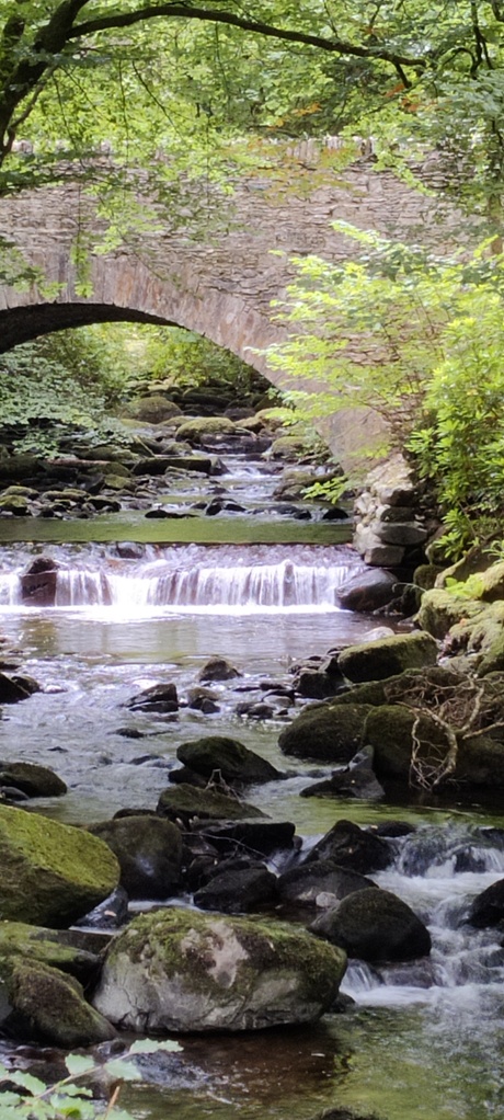 Killarney National Park