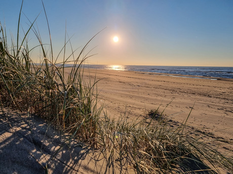 Duinen en de zee