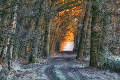 Dat het maar snel zo'n weer wordt