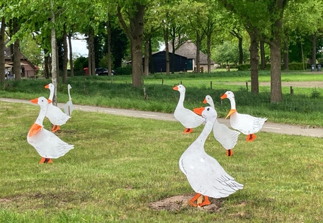 🥳feestje 