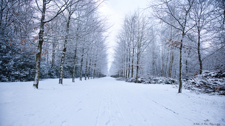 Park Kasteel Cannenburch
