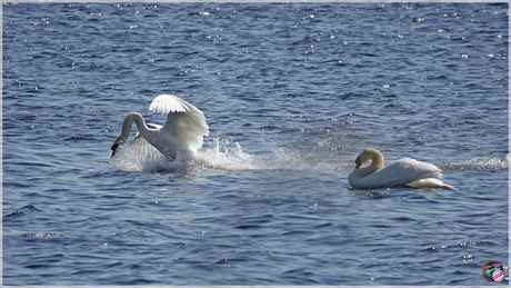 Onhandige landing …